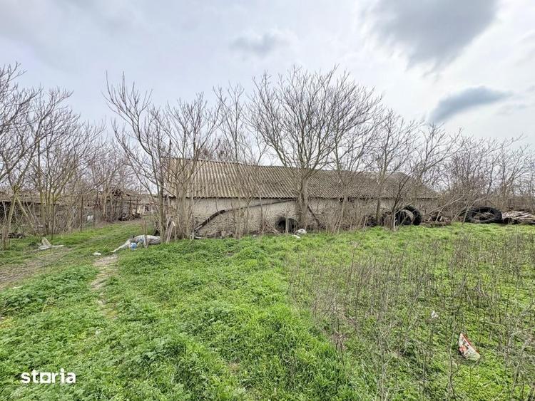 Ferma de vanzare , Loc Nistoresti Jud Constanta - 5