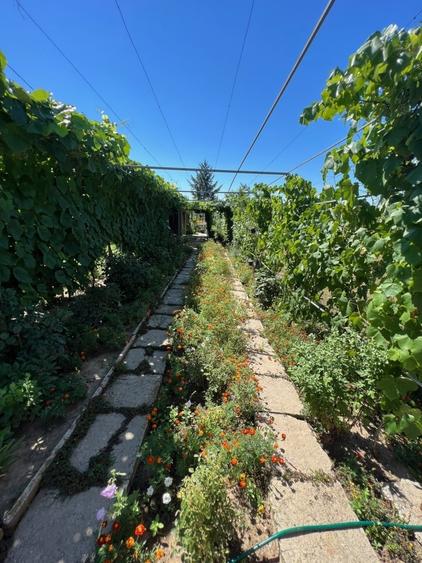 Casă individuală cu 4 camere cu Teren 2900 Mp în Iulia