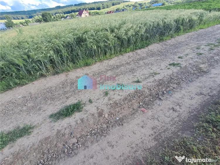 Teren intravilan in Reuseni, comuna Udesti - 10