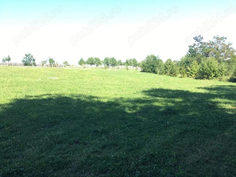 Teren de 5400 mp, în Oglinzi