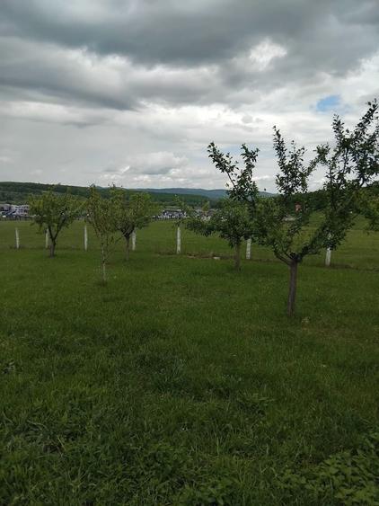 Spațiu comercial, în Cisnădie