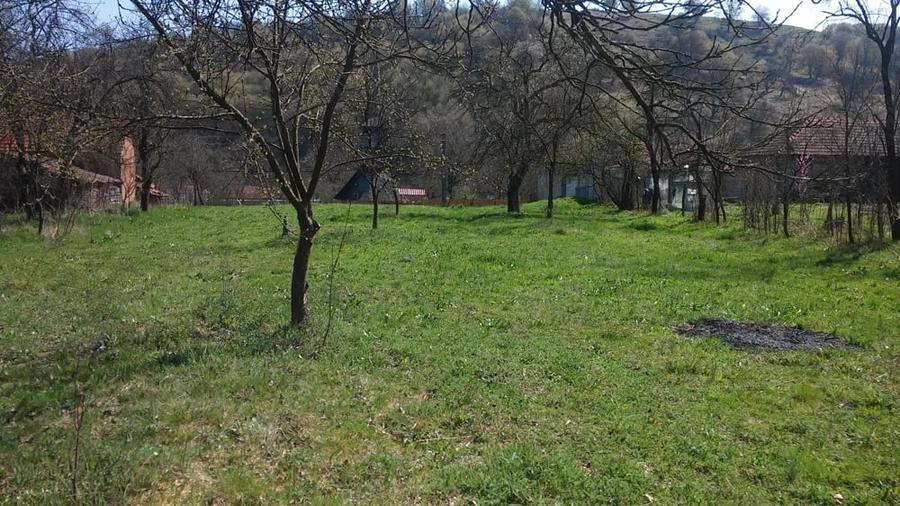 Teren de 2219 mp, în Lăpugiu de Jos