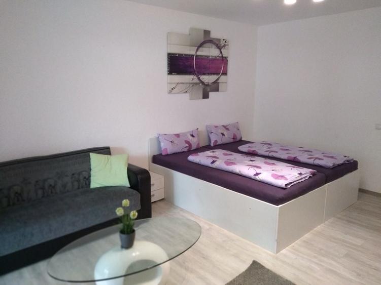 Apartament cu 2 camere decomandat în Crinț