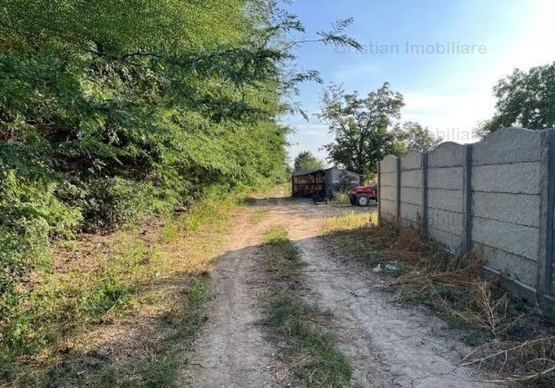 Teren intravilan de 522 mp, în Cazasu