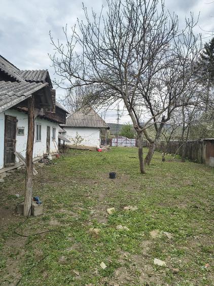 Casă cu Teren 1373 Mp în Prăjoaia