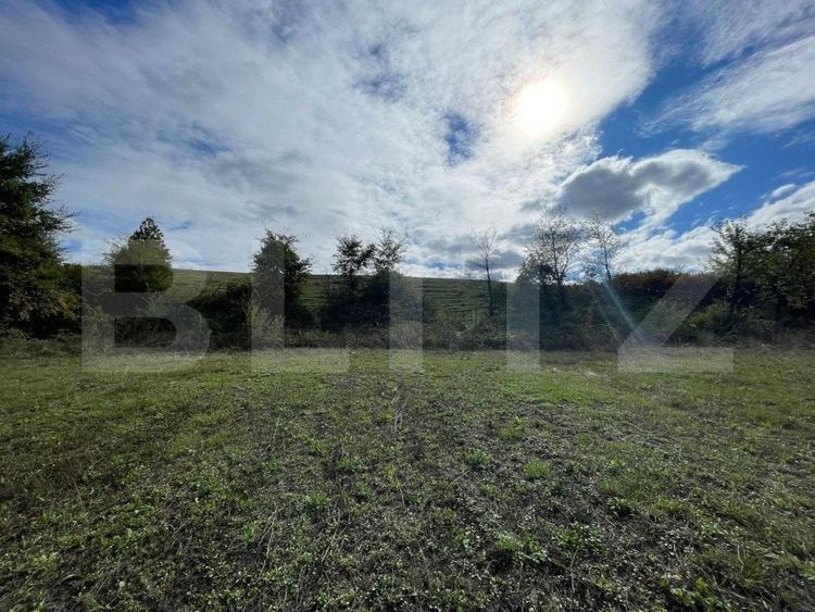 Teren Construcții intravilan de 5996 mp, în Hidișelu de Jos