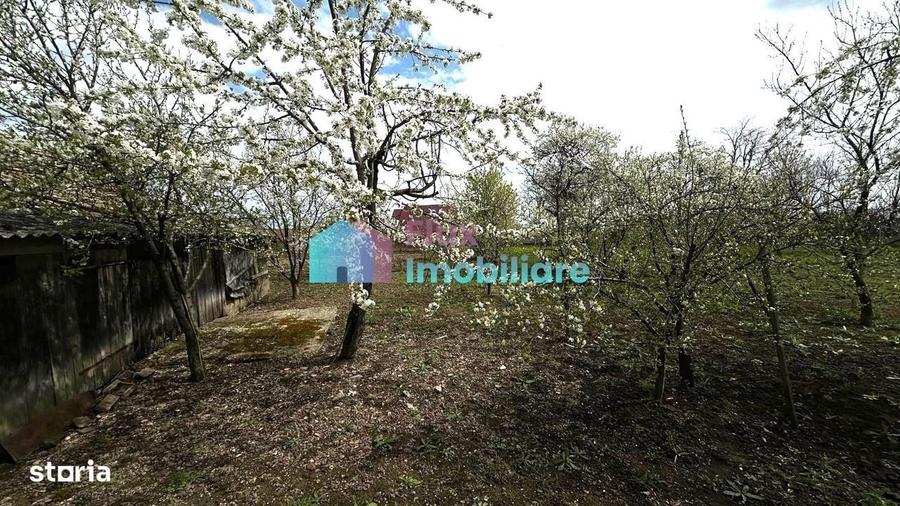 Casă cu 3 camere în Central