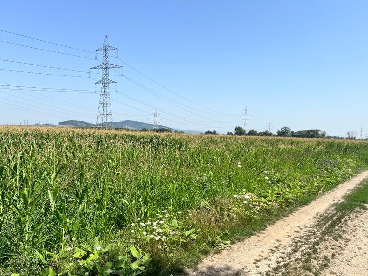 Teren agricol intravilan de 10700 mp, în Triaj