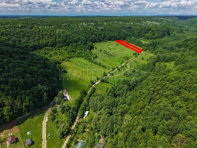 Teren agricol extravilan de 5500 mp, în Valea Mare-Podgoria