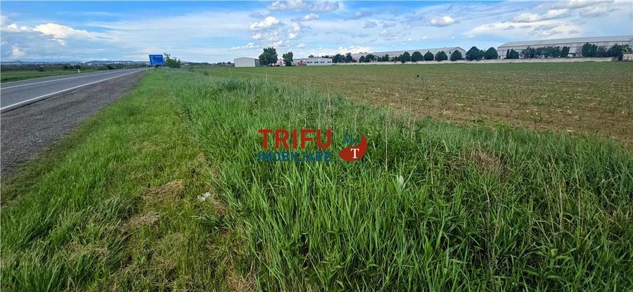 Teren Construcții intravilan de 90000 mp, în Periferie