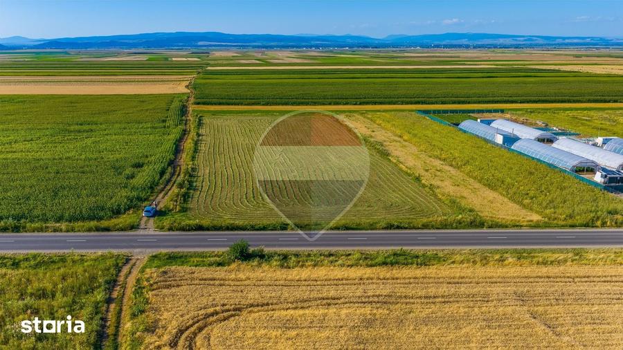 Teren de 7500 mp, în Tărlungeni