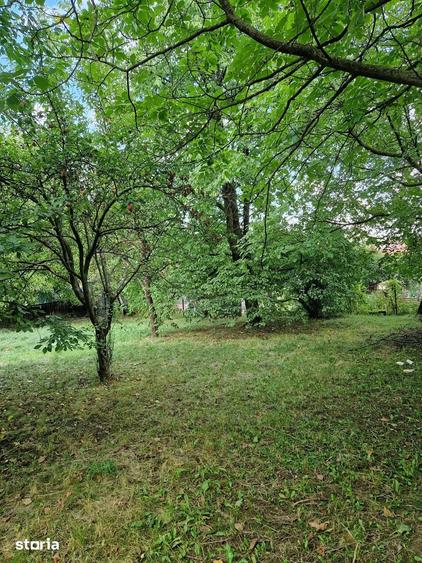 Casă cu 3 camere cu Teren 14000 Mp în Burdujeni