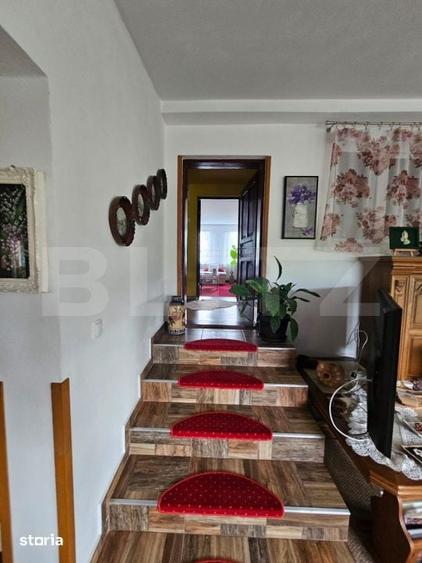 Casă cu 4 camere cu Teren 5755 Mp în Semlac