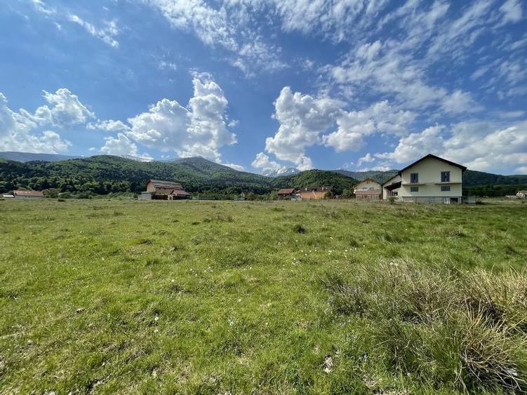 Teren de 1000 mp, în Sâmbăta de Sus