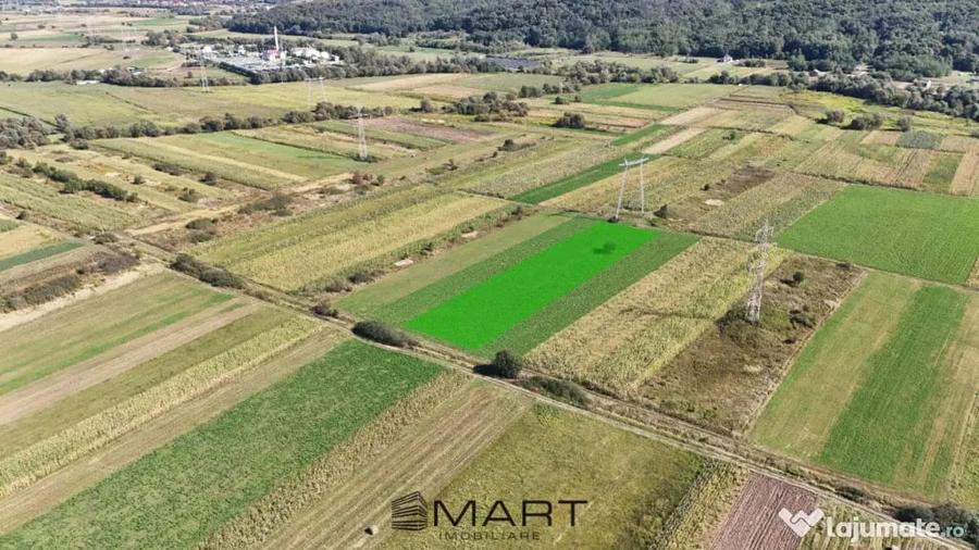 Teren extravilan de vanzare 5000 mp, ?elimbar (Mohu) - Selimbar (Sibiu) - 2