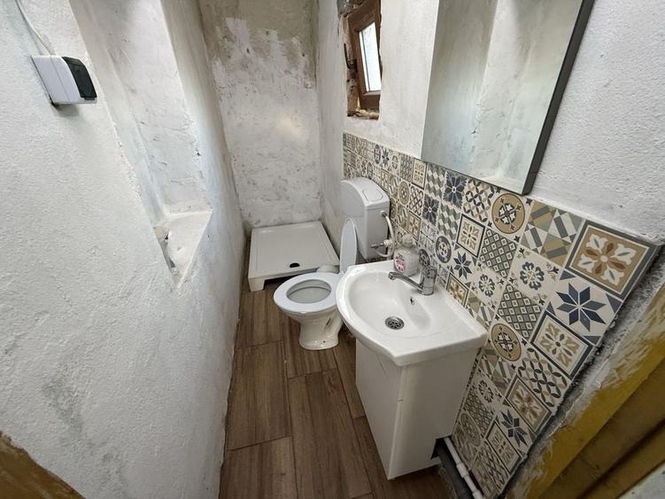 Casa in Podeni, potential deosebit - 2
