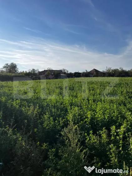 Casa de locuit in Valea Larga, cu teren generos de 5.100 - 3