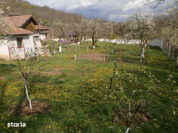 Vand casa cu gradina - 8