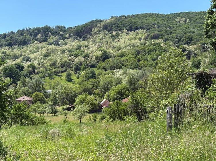 Teren de 1000 mp, în Mălureni