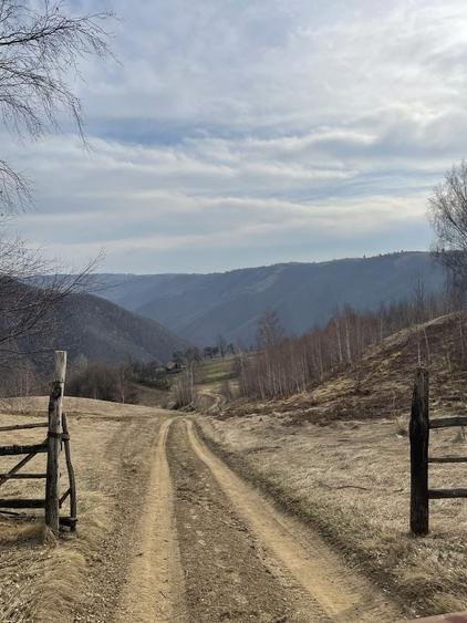 Teren de 95000 mp, în Costești (Albac)