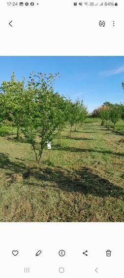 Casă cu 4 camere în Grăniceri