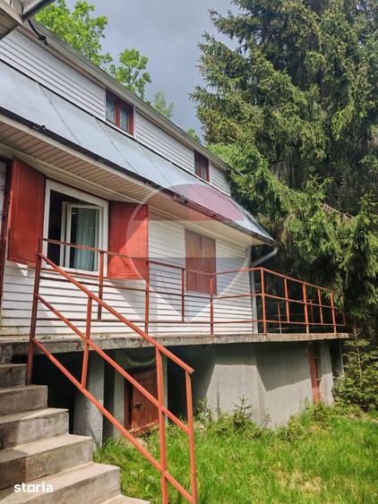 Cabana de vanzare in Muntele Bai?orii Zona Jera - 20