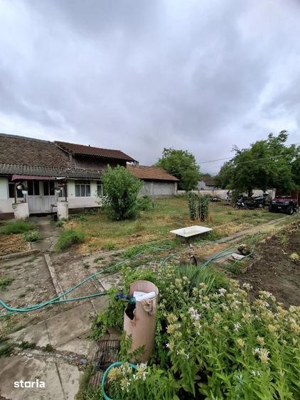 Teren de 1260 mp, în Giarmata