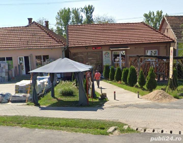 Spațiu comercial, de 50 mp, în Beliu