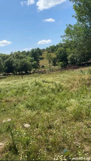 Teren de 4630 mp, în Rădmănești