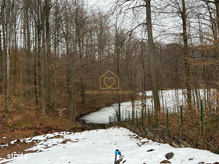 Exclusivitate! Vila Premium Cu Deschidere La Lac Mogosa - 18