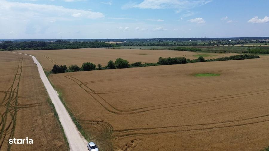 Ciolpani-Ilfov, Teren intravilan-20 ha - 5