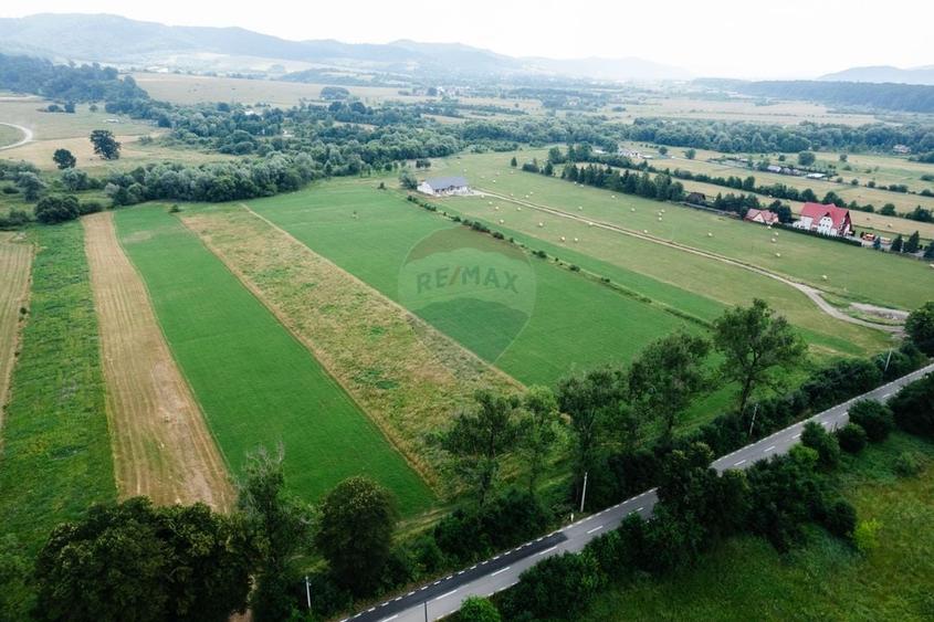 Teren Construcții intravilan de 10000 mp, în Nemțișor