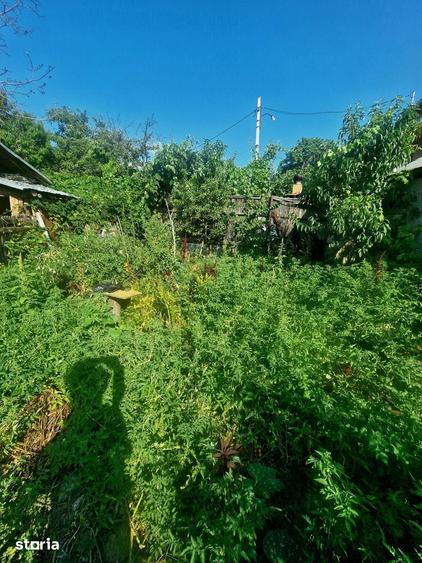 Casă cu 3 camere cu Teren 365 Mp în Central