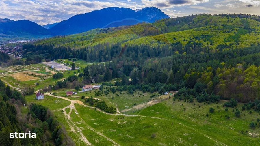 Teren de 10000 mp, în Brebina