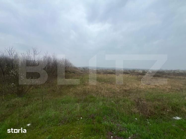 Teren de 4650 mp, în Almăj