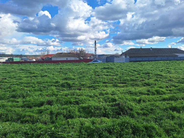 Teren Construcții intravilan de 1000 mp, în Mihail Kogălniceanu