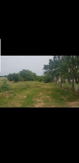 Teren Construcții intravilan de 1863 mp, în Lazu