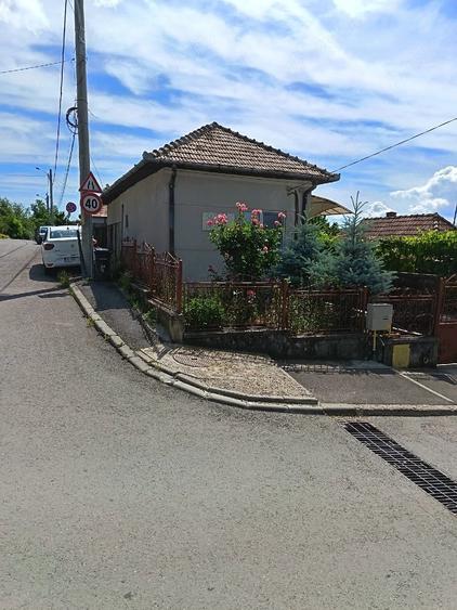Casă cu Teren 496 Mp în Central
