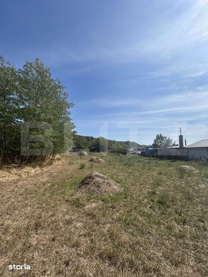 Teren de 2200 mp, în Apahida