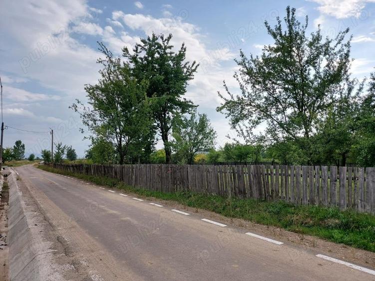 Teren de 2900 mp, în Estelnic