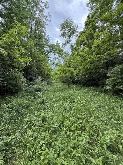 Teren plat-intravilan -3800 mp, cu pădurice și ieșire la râu! - 29
