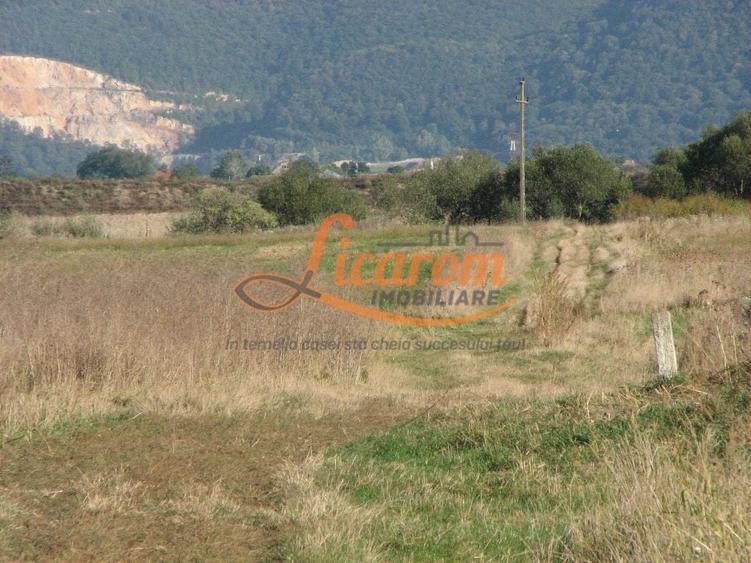 Teren Construcții intravilan de 240000 mp, în Exterior Est