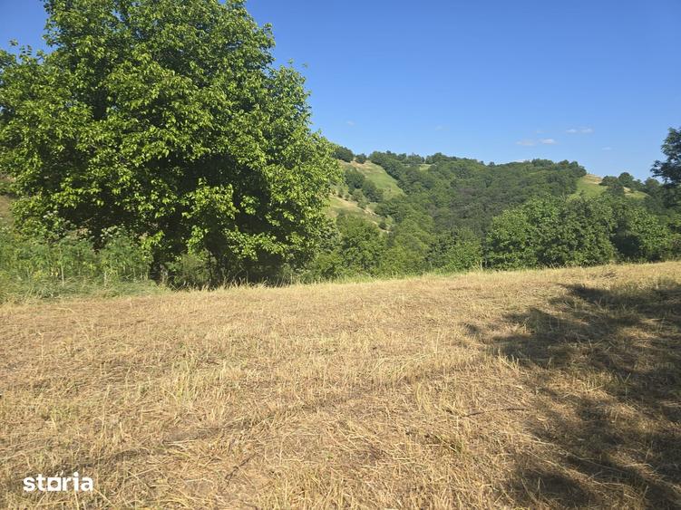 Teren de 150000 mp, în Cerbăl