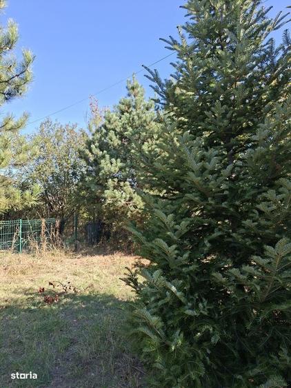 Casă cu 4 camere cu Teren 2600 Mp în Central