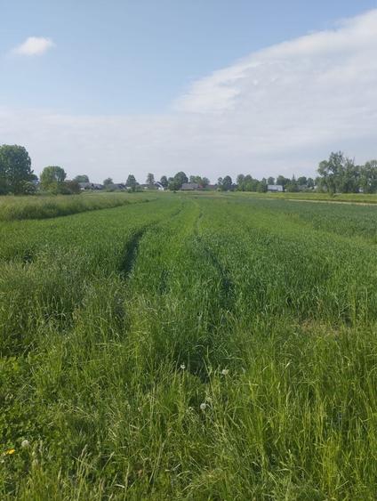 Casă cu 2 camere în Frătăuții Vechi