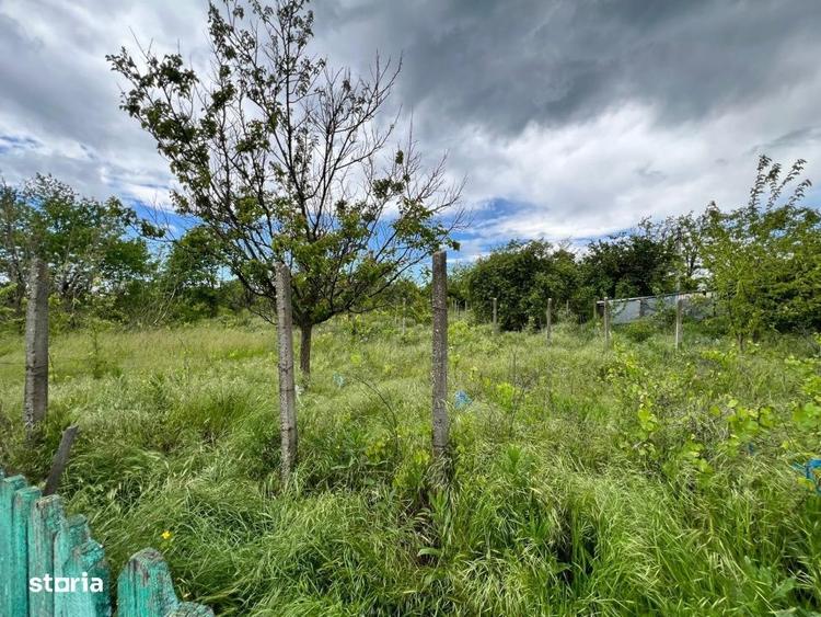Casă cu 4 camere cu Teren 4430 Mp în Tecucelu Sec