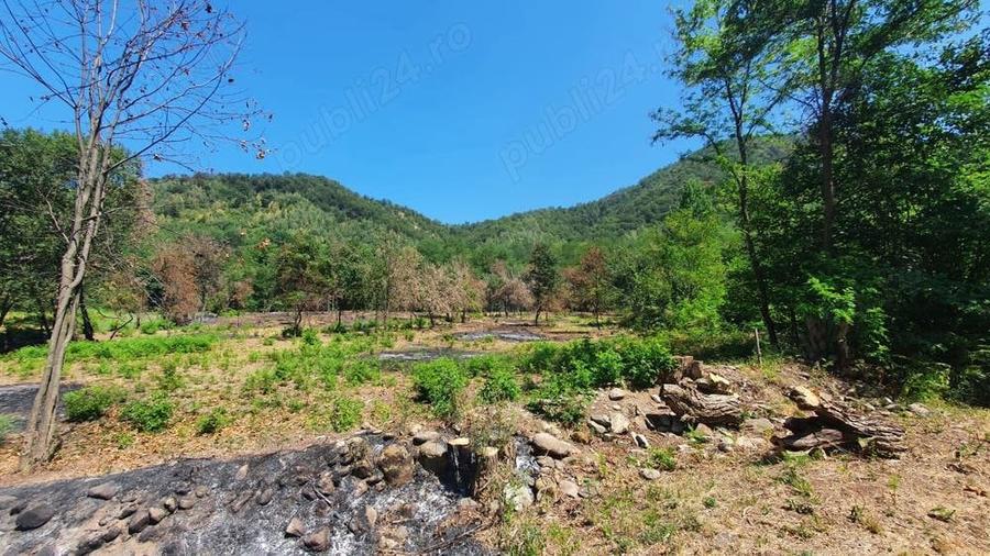 Teren de 5000 mp, în Borlova