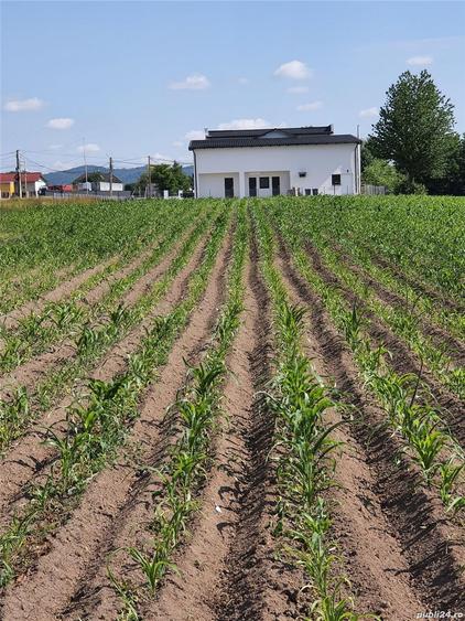 Teren de 2486 mp, în Agapia