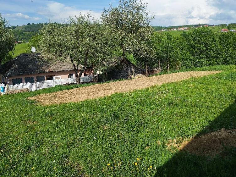 Casa la munte cu teren - 9