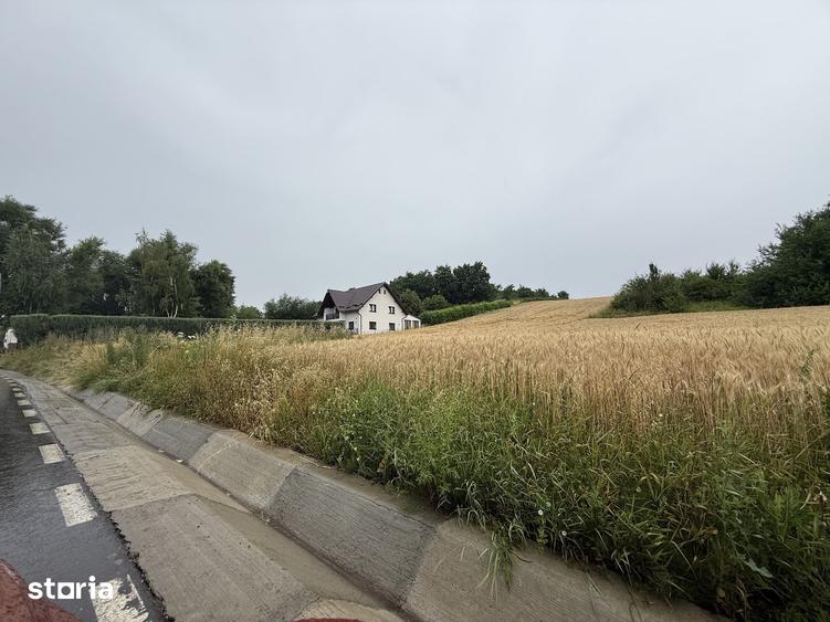 Teren de 3900 mp, în Moara